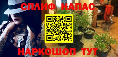 мдпв Жуковский