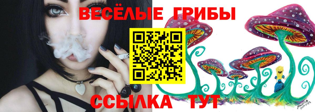 Псилоцибиновые грибы Cubensis  Галлюциногенные грибы ЛСД  Нижний Новгород  Вход с VPN 